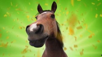 乌鸦爆料小鱼儿视频大全,小鱼儿视频大全幕后揭秘  第2张